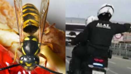 αστυνομική-με-αυτοθυσία-έσωσαν-μικρό-75306