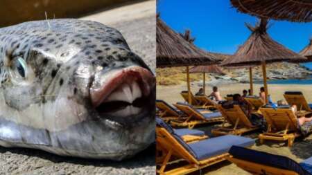 τρόμος-σε-παραλία-της-κρήτης-της-επιτέ-81566