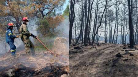 καλά-να-πάθουν-που-μπαίνουν-έτσι-στην-82196