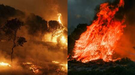 κάψτε-και-τον-τελευταίο-πνεύμονα-της-α-82423