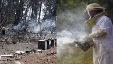 ασύλληπτη-τραγωδία-κατέληξε-ο-μελισσ-79583