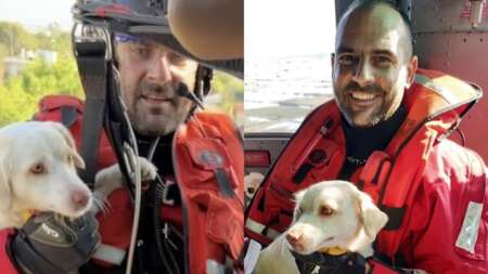 μαθήματα-ανθρωπιάς-έσωσαν-τη-σκυλίτσ-85854