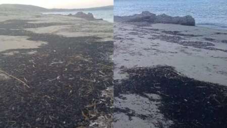 αποκαρδιωτική-εικόνα-στη-λήμνο-λουό-84029