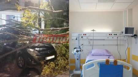 φρίκη-στη-πάτρα-δέντρο-καταπλάκωσε-γυ-89201