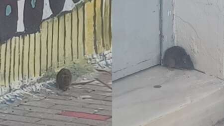 απίστευτη-καταγγελία-μητέρας-στο-1ο-δη-89925