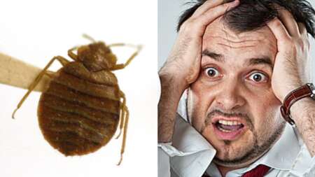 είναι-η-νέα-διεθνής-απειλή-σάλος-με-του-92710