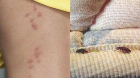 kανείς-δεν-είναι-ασφαλής-μπαίνουν-μέσ-89979