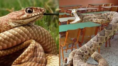 κόκκινος-συναγερμός-σε-σχολείο-των-τρ-91296