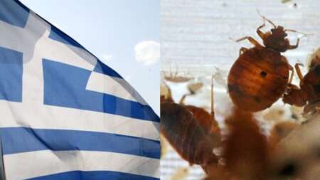 κόκκινος-συναγερμός-από-βασιλακόπ-90353