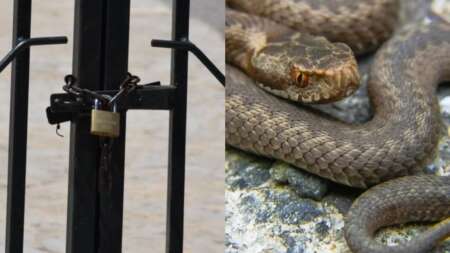 παγωμάρα-σε-μαθητές-καθηγητές-και-γ-91315