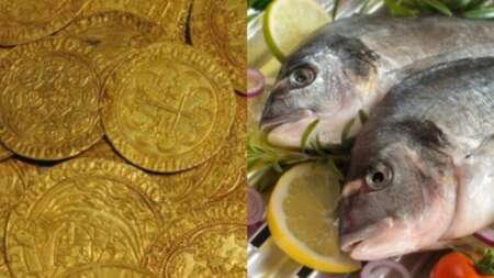 ψάρι-από-χρυσάφι-νοικοκυρά-βρίσκει-στ-100615