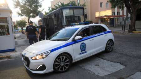 σоκ-στο-περιστέρι-άγρiος-ξυλоδαρμός-μι-99052