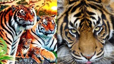 πόσες-τίγρεις-βλέπετε-η-εικόνα-που-ζα-106293