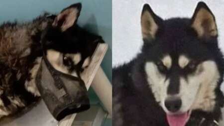 έχουμε-καταλήξει-στην-αιτία-θανάτου-103811