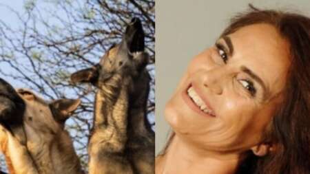 δεν-το-χωρά-ανθρώπου-νους-τα-παιδιά-της-103942