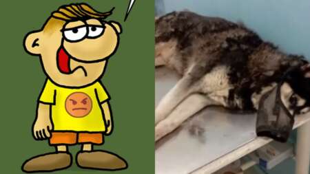 αποθεώθηκε-ο-άρκας-το-σκίτσο-όλο-νόημα-103399