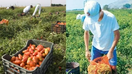 δεν-είναι-ντροπή-τα-ελληνόπουλα-να-πάν-108610