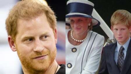 η-αποκάλυψη-του-πρίγκιπα-χάρι-25-χρόνια-119175