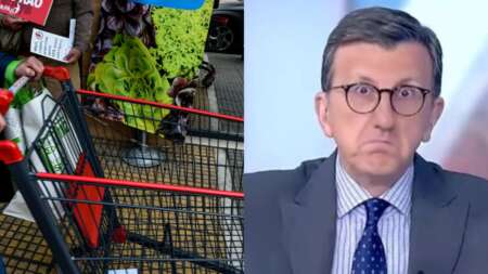 πάρτε-καλαθάκι-αντί-για-καρότσι-στο-σ-119672