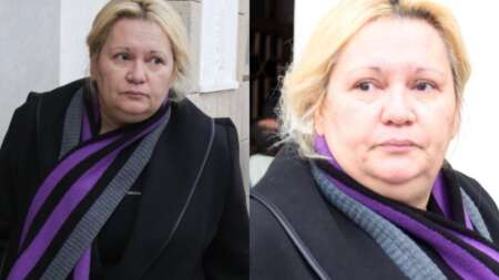 κόβω-το-ψωμί-το-τυρί-ή-τα-φρούτα-στο-κρ-122800