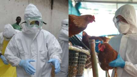 συναγερμός-η-επόμενη-πανδημία-είναι-κ-135138