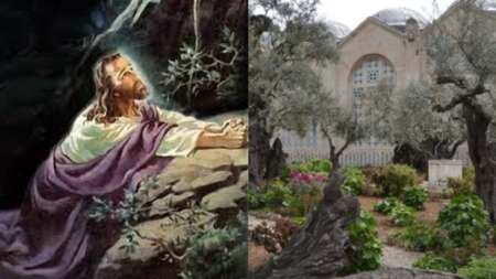 δέος-και-ανατριχίλα-το-σημείο-που-προσ-137263