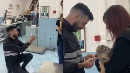 δάκρυσαν-στο-κτηνιατρείο-κρητικός-έ-131497