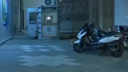 άγιοι-ανάργυροι-πήγα-μαυρισμένη-από-130078