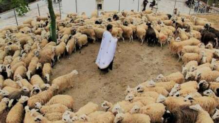 ανήμερα-του-αγίου-γεωργίου-το-ξεχωρισ-139160