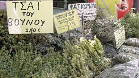 σκέτος-θησαυρός-το-αντιφλεγμονώδες-ε-143387