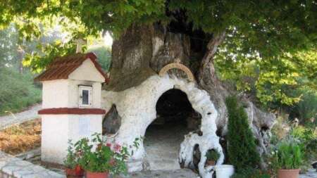 μαγεύει-και-συγκινεί-πλάτανος-που-άντ-154190