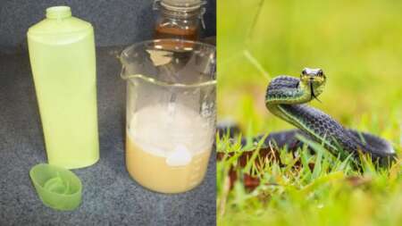 είναι-παντού-γύρω-μας-πώς-μπορείτε-να-κ-148899