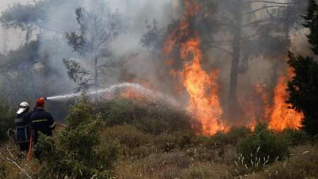 εκτακτο-φωτιά-στο-φίλυρο-θεσσαλονίκη-155352