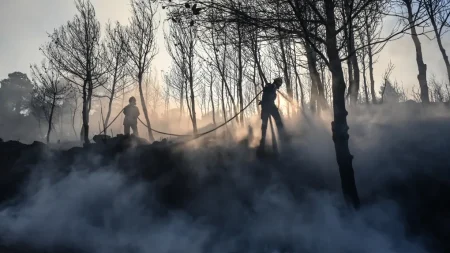 καίγεται-ξανά-η-ελλάδα-μεγάλη-φωτιά-τώ-157032