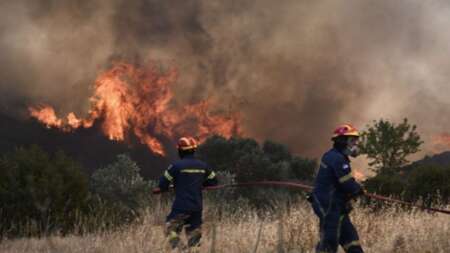 εθνική-τραγωδία-κάηκαν-100-000-στρέμματα-ζώ-164606