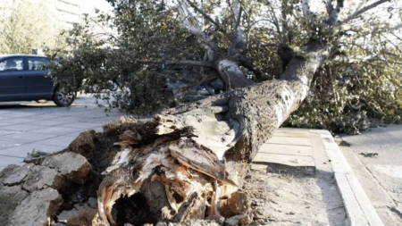 αδιανόητη-τραγωδία-πέθανε-12χρονος-σε-σ-176671