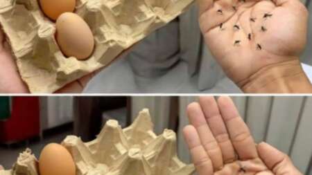 σταματήστε-να-πετάτε-τα-κουτιά-από-τα-α-192503