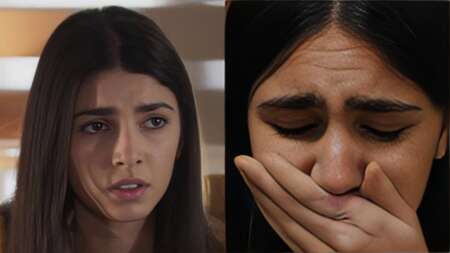 η-γη-tης-ελιάς-καταιγιστικές-εξελίξεις-201164