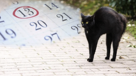 φέρνουν-γκαντεμιά-όπου-πάνε-έχουν-αρν-199991