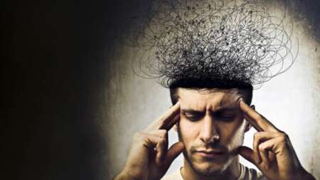 έχουν-το-πιο-υψηλό-iq-το-μυαλό-τους-στροφ-200139