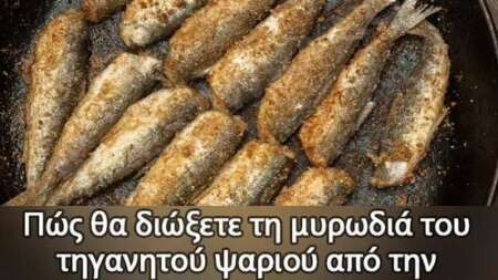 πώς-θα-διώξετε-τη-μυρωδιά-του-τηγανητο-198778