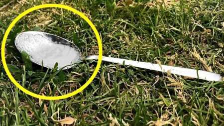 ο-σημαντικός-λόγος-που-πρέπει-να-αφήνο-199012