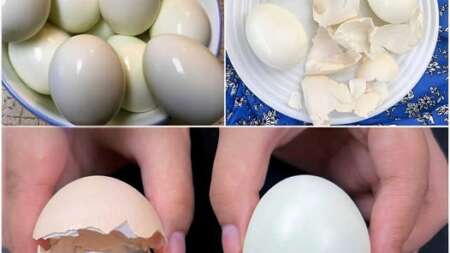 βραστά-αυγά-το-λάθος-είναι-το-κρύο-νερό-198831