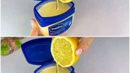 ανακατέψτε-βαζελίνη-με-λεμόνι-και-θα-ε-200749