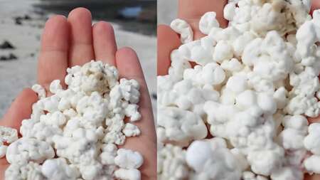 σήμερα-στην-παραλία-βρήκαμε-κατά-λάθο-200956