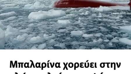 μαγευτικό-βίντεο-στο-1ο-σχόλιο-201922