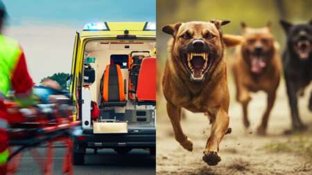 ανείπωτη-τραγωδία-νεκρός-7χρονος-επί-198519