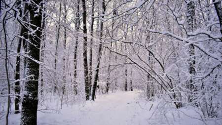 έρχεται-παγετός-χιόνια-ακόμη-σε-λίγε-200048