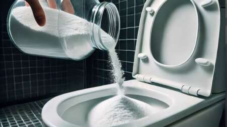ρίξτε-μια-χούφτα-από-αυτό-στην-τουαλέτ-198473