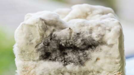 μεγαλοσ-κινδυνοσ-μην-στεγνωνετε-τα-ρο-200334